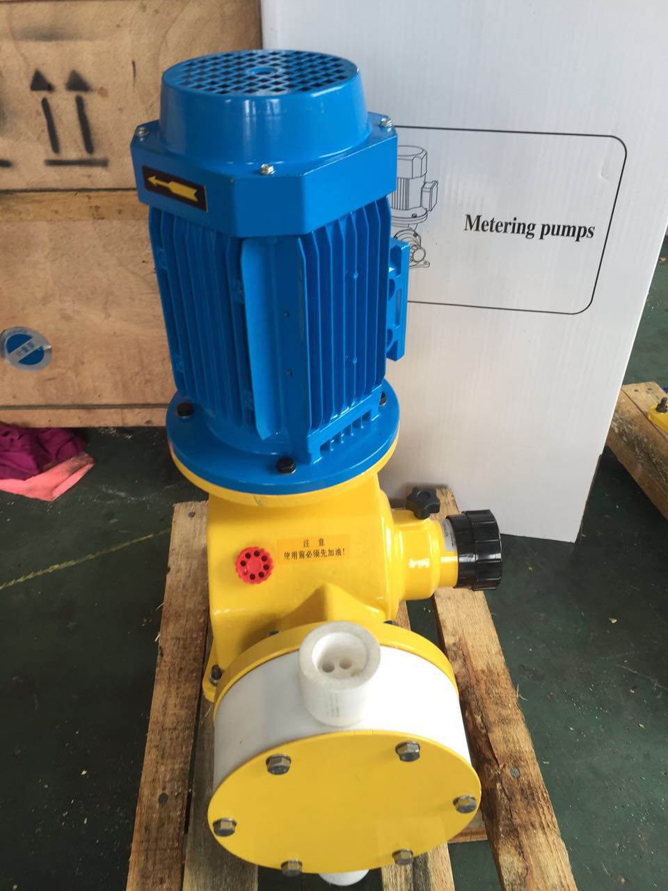 GM�͸�ĤӋ����