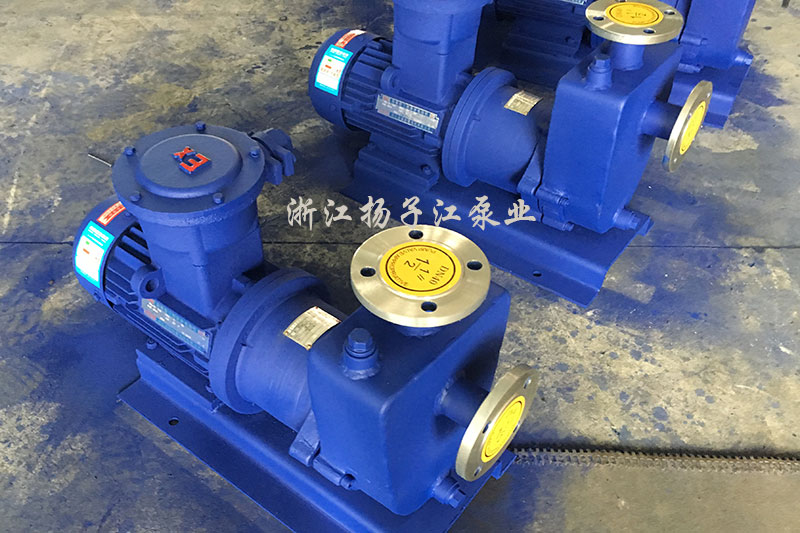 ZCQ���P�����������